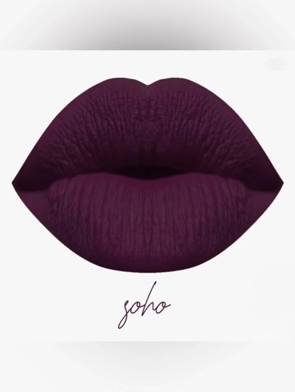 NIB Karity Lip Lock Velvet Liquid Lipstick - Soho